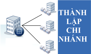 Khi nào cần thành lập chi nhánh công ty tại Quảng Nam?